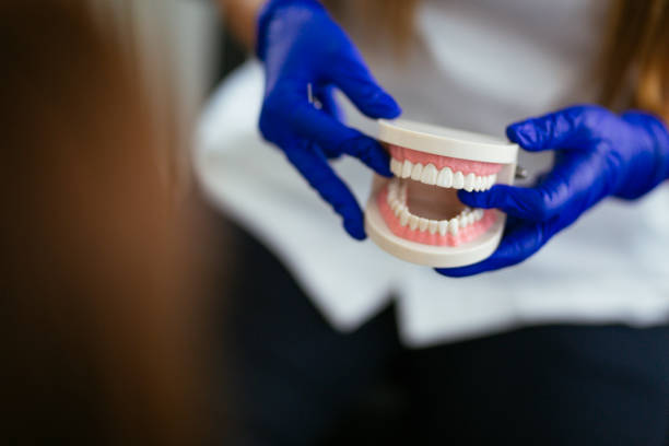 Best Dental Fillings (Composite and Amalgam)  in Forest Hills, MI